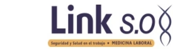 LINKSO Logo Image